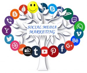 Best SMM Company in Jaipur